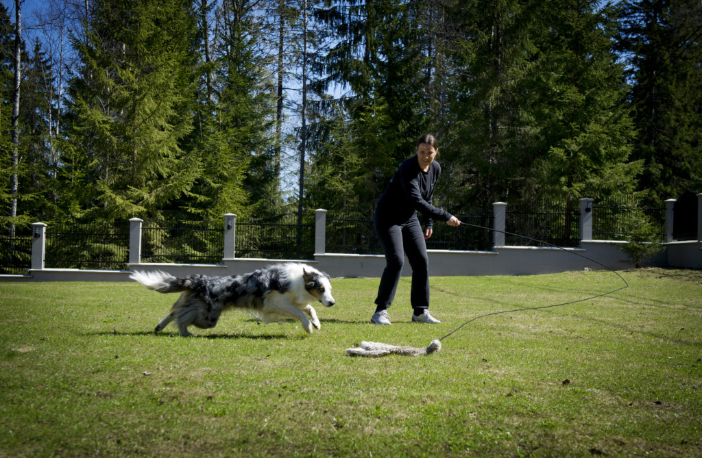 Kickantraning14 1024x669