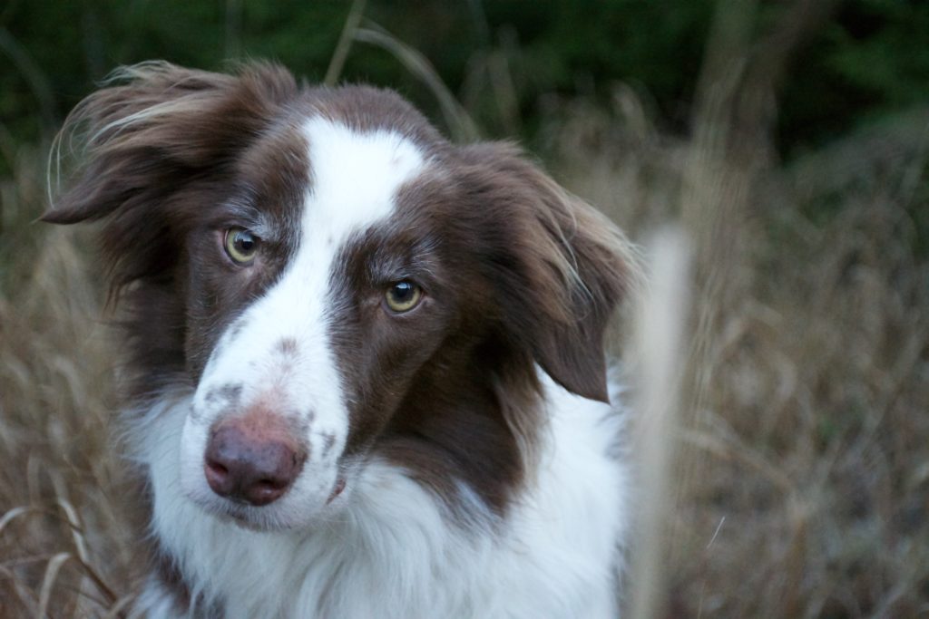 Flash2014 12 20 1024x683