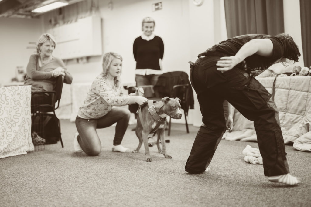 Photo By Kickan Nikolic 6537 1024x682