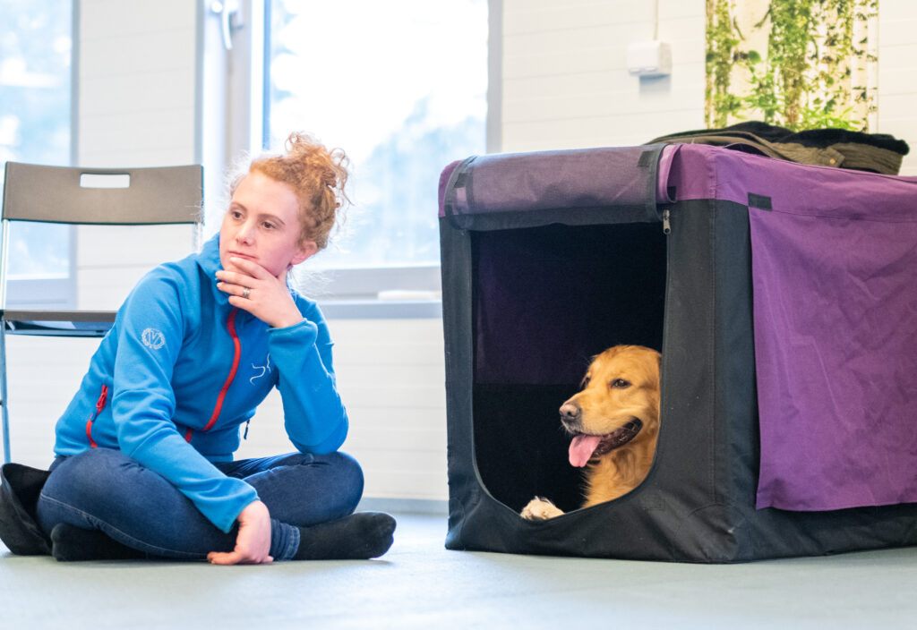Hundfotograf Kickan.nikolic Stadga Kurs 6 1024x704