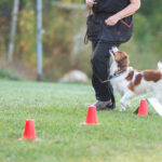 Rallylydnad grundkurs, steg 1. VIP!!