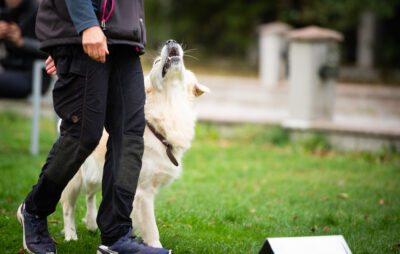 Privatlektion 2 tim (dela upp till 3 st)