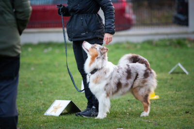 Rallylydnad, Nybörjar-Fortsättningsklass! (heldagskurs)
